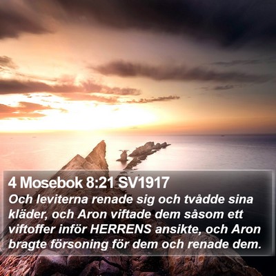 4 Mosebok 8:21 SV1917 Bible Verse Image