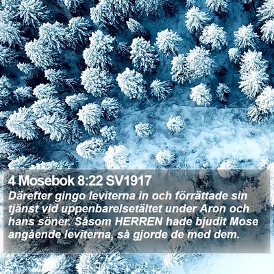 4 Mosebok 8:22 SV1917 Bible Verse Image