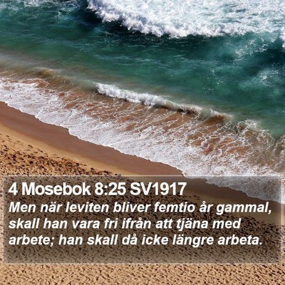 4 Mosebok 8:25 SV1917 Bible Verse Image