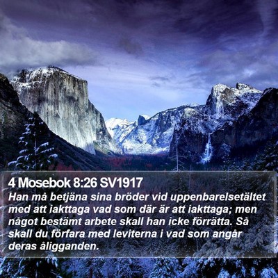 4 Mosebok 8:26 SV1917 Bible Verse Image