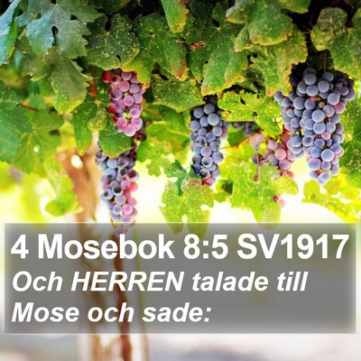 4 Mosebok 8:5 SV1917 Bible Verse Image