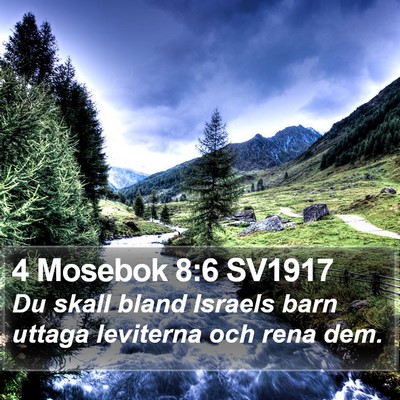 4 Mosebok 8:6 SV1917 Bible Verse Image