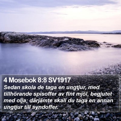 4 Mosebok 8:8 SV1917 Bible Verse Image
