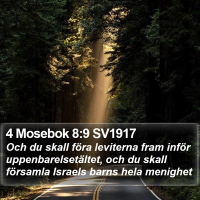 4 Mosebok 8:9 SV1917 Bible Verse Image