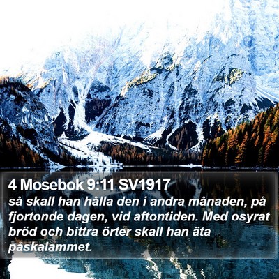 4 Mosebok 9:11 SV1917 Bible Verse Image