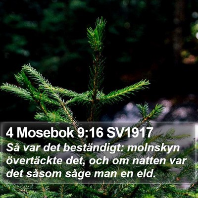 4 Mosebok 9:16 SV1917 Bible Verse Image