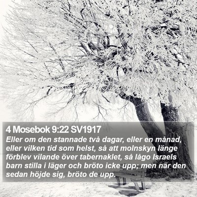4 Mosebok 9:22 SV1917 Bible Verse Image