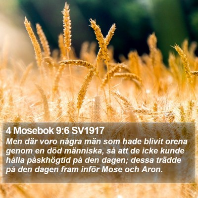 4 Mosebok 9:6 SV1917 Bible Verse Image