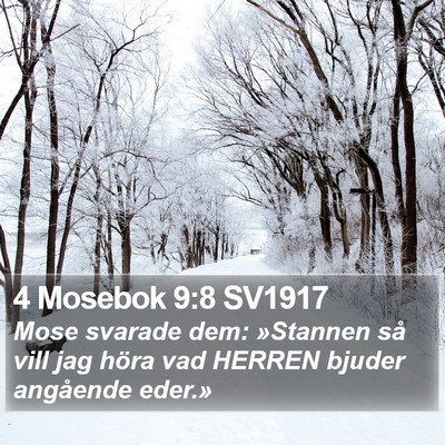 4 Mosebok 9:8 SV1917 Bible Verse Image