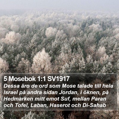 5 Mosebok 1:1 SV1917 Bible Verse Image