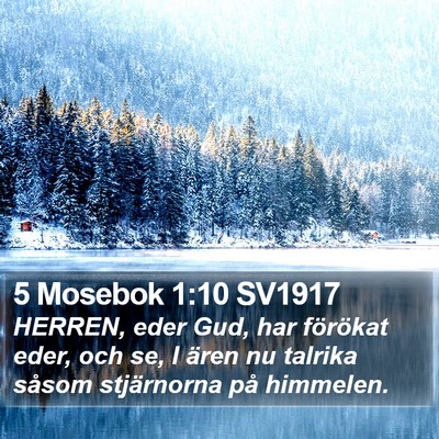 5 Mosebok 1:10 SV1917 Bible Verse Image