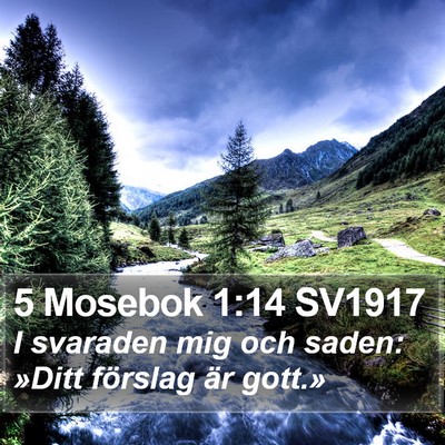 5 Mosebok 1:14 SV1917 Bible Verse Image