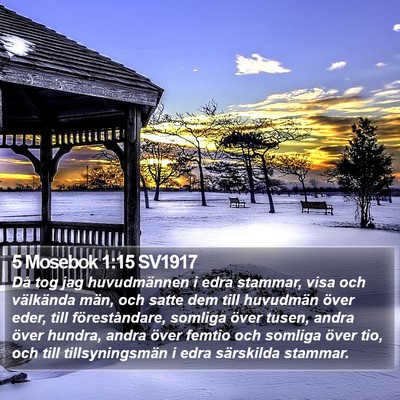 5 Mosebok 1:15 SV1917 Bible Verse Image