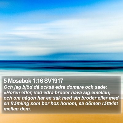 5 Mosebok 1:16 SV1917 Bible Verse Image