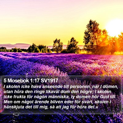 5 Mosebok 1:17 SV1917 Bible Verse Image