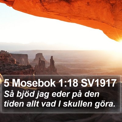 5 Mosebok 1:18 SV1917 Bible Verse Image