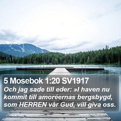5 Mosebok 1:20 SV1917 Bible Verse Image