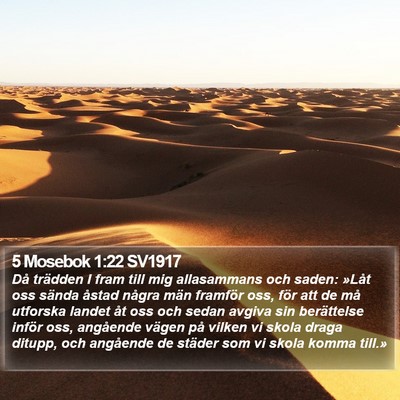 5 Mosebok 1:22 SV1917 Bible Verse Image