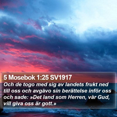 5 Mosebok 1:25 SV1917 Bible Verse Image
