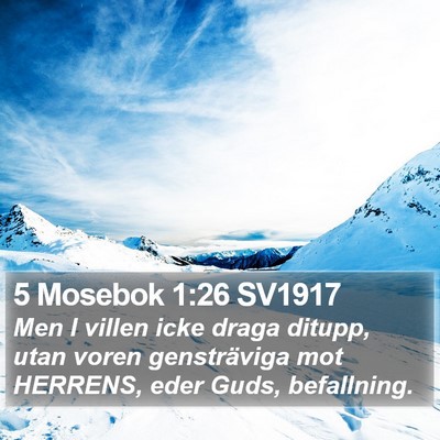 5 Mosebok 1:26 SV1917 Bible Verse Image