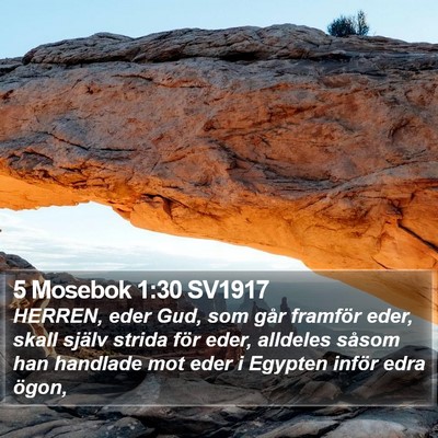 5 Mosebok 1:30 SV1917 Bible Verse Image