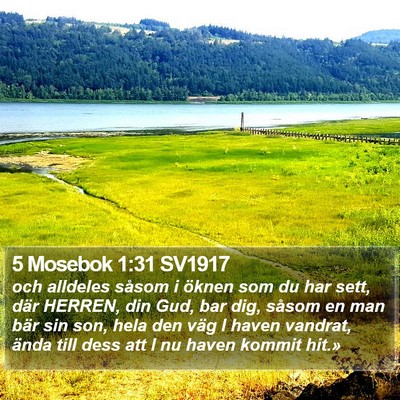 5 Mosebok 1:31 SV1917 Bible Verse Image