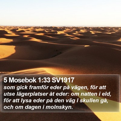 5 Mosebok 1:33 SV1917 Bible Verse Image
