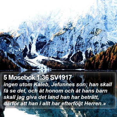 5 Mosebok 1:36 SV1917 Bible Verse Image