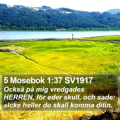 5 Mosebok 1:37 SV1917 Bible Verse Image