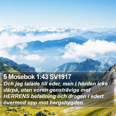 5 Mosebok 1:43 SV1917 Bible Verse Image