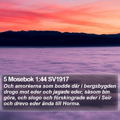 5 Mosebok 1:44 SV1917 Bible Verse Image