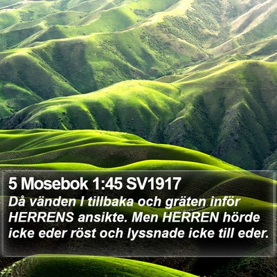 5 Mosebok 1:45 SV1917 Bible Verse Image