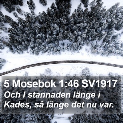 5 Mosebok 1:46 SV1917 Bible Verse Image