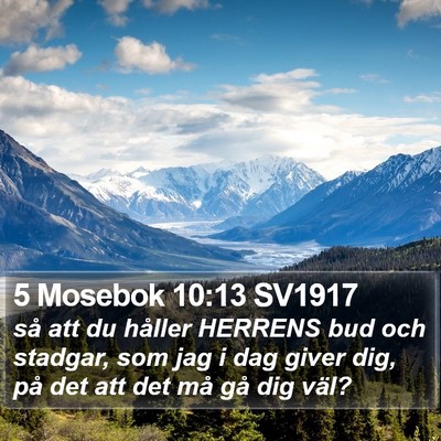 5 Mosebok 10:13 SV1917 Bible Verse Image