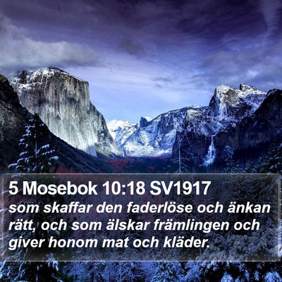 5 Mosebok 10:18 SV1917 Bible Verse Image