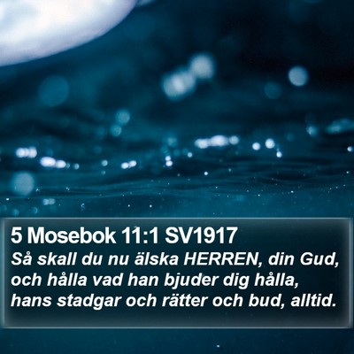 5 Mosebok 11:1 SV1917 Bible Verse Image