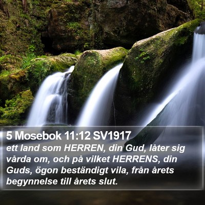 5 Mosebok 11:12 SV1917 Bible Verse Image
