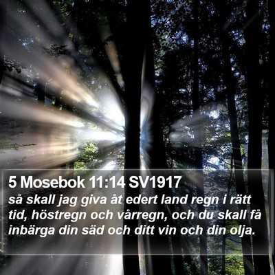 5 Mosebok 11:14 SV1917 Bible Verse Image