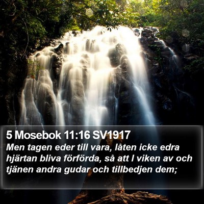 5 Mosebok 11:16 SV1917 Bible Verse Image