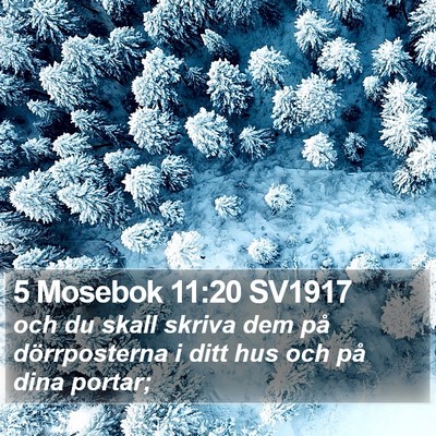 5 Mosebok 11:20 SV1917 Bible Verse Image