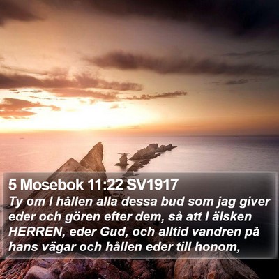 5 Mosebok 11:22 SV1917 Bible Verse Image
