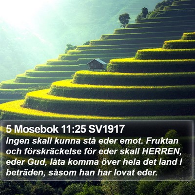 5 Mosebok 11:25 SV1917 Bible Verse Image