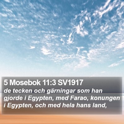 5 Mosebok 11:3 SV1917 Bible Verse Image