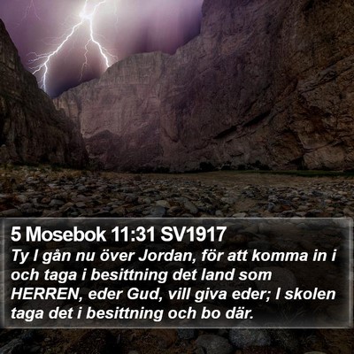 5 Mosebok 11:31 SV1917 Bible Verse Image