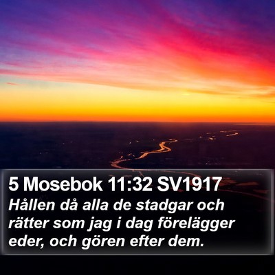 5 Mosebok 11:32 SV1917 Bible Verse Image