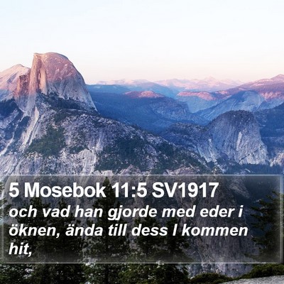 5 Mosebok 11:5 SV1917 Bible Verse Image