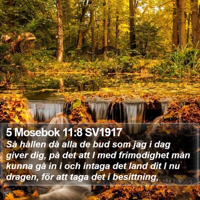 5 Mosebok 11:8 SV1917 Bible Verse Image