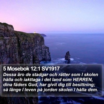 5 Mosebok 12:1 SV1917 Bible Verse Image
