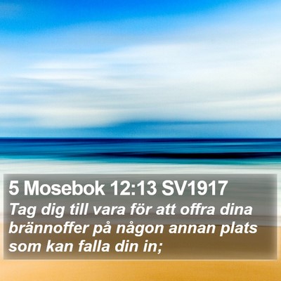 5 Mosebok 12:13 SV1917 Bible Verse Image