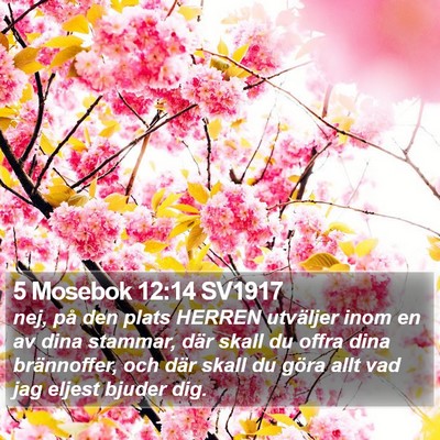 5 Mosebok 12:14 SV1917 Bible Verse Image